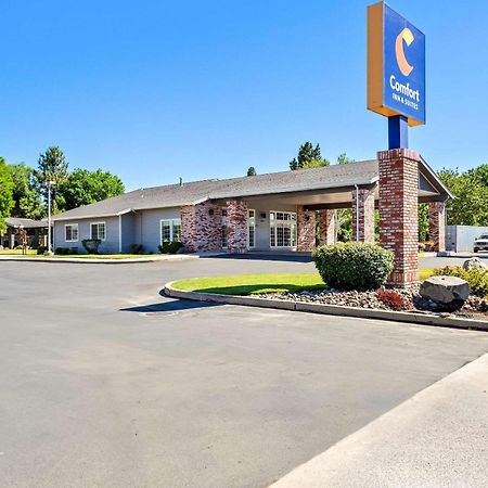 Comfort Inn & Suites Сюзънвил Екстериор снимка