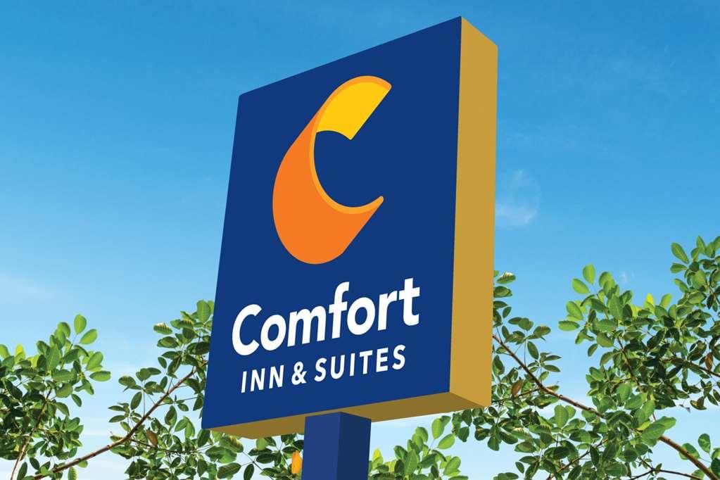 Comfort Inn & Suites Сюзънвил Екстериор снимка