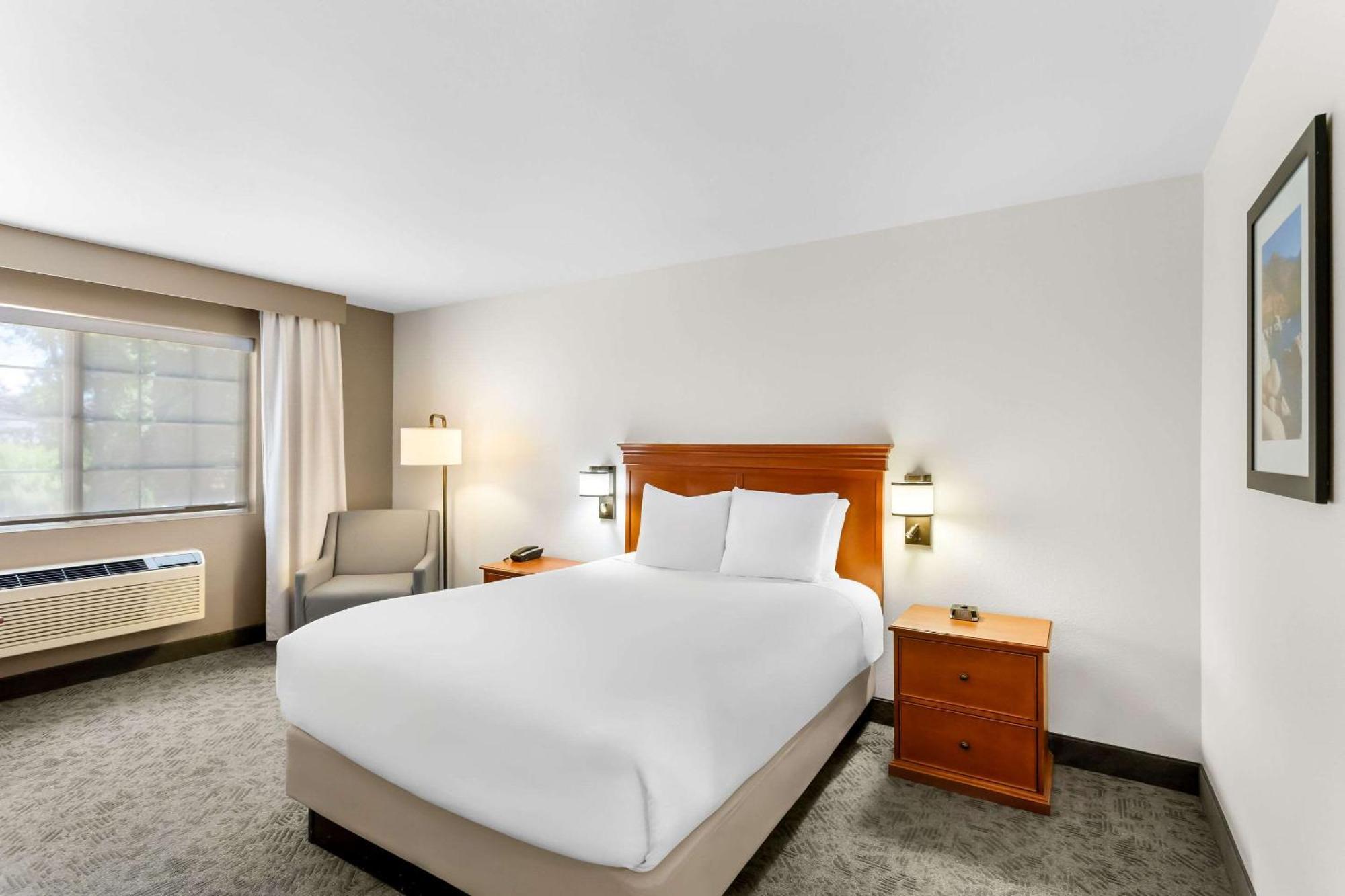 Comfort Inn & Suites Сюзънвил Екстериор снимка