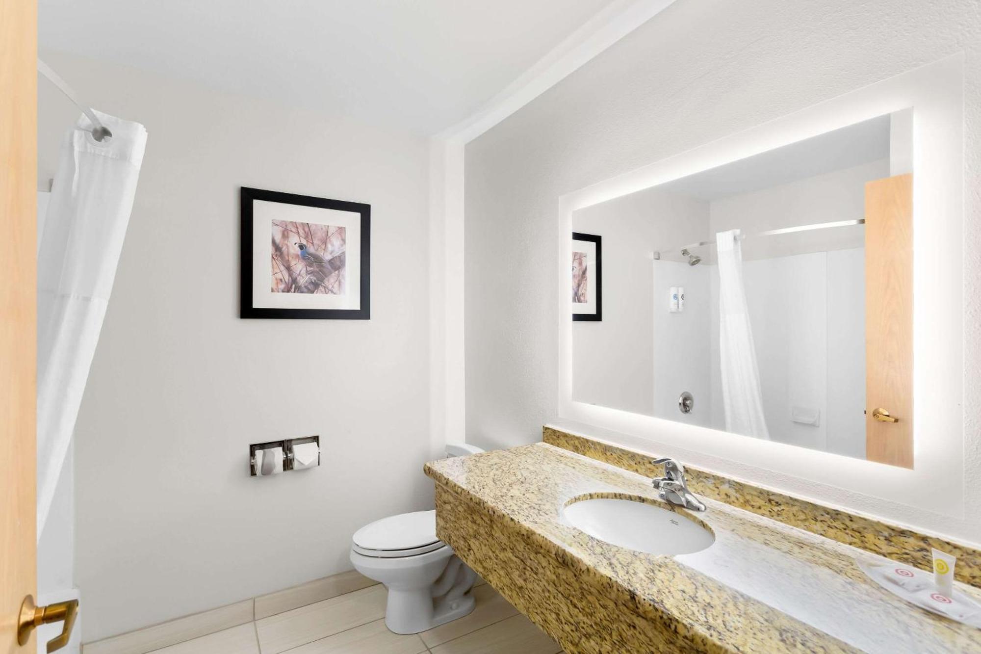 Comfort Inn & Suites Сюзънвил Екстериор снимка